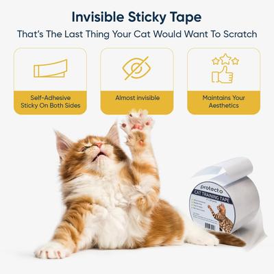 Show full view: Protecto Double-Sided Clear Self-Adhesive Cat Training Tape, Clear, 4 x 30-yd, 1 roll slide 5 of 8