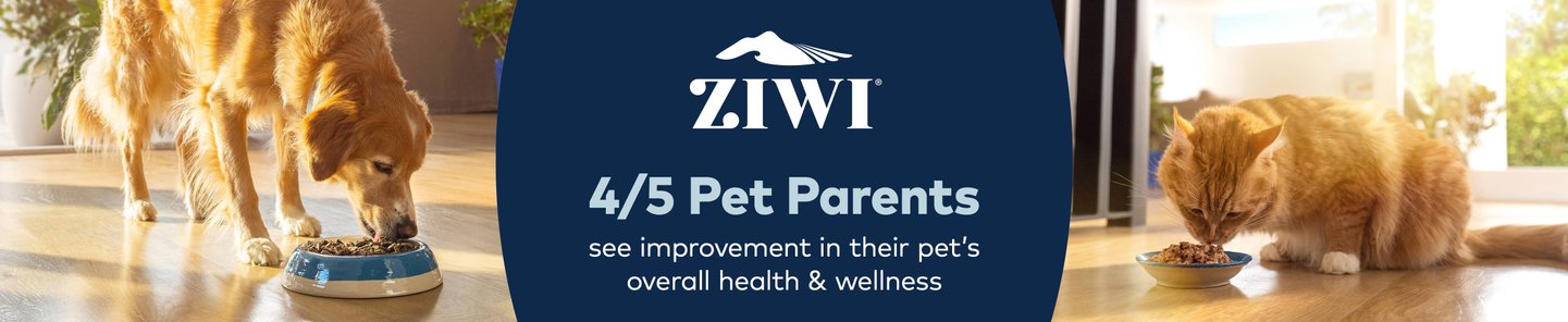 Ziwi 4/5 Pet Parents see improvements in their pet's overall health & wellness