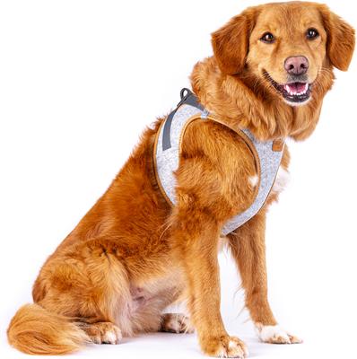 Show full view: Curli Alpine Clasp Vest Dog Harness, Light Gray, XXX-Small: 10.51 to 11.85-in chest slide 4 of 12