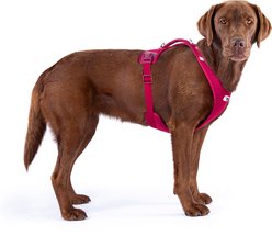 Curli Belka Air-Mesh Dog Harness, Light-Tan, XX-Large: 24.69 to 27.6-in chest slide 2 of 9