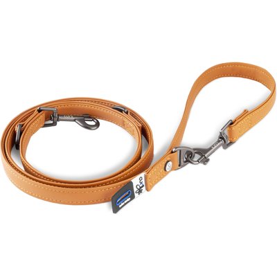 Curli Curli Apple Leather Adjustable Dog Leash, Brown, Large: 5-ft long, 13/16-in wide