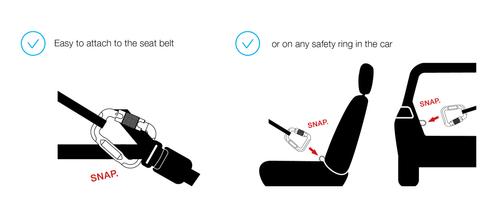 Show full view: Curli V2 Dog Car Safety Belt, Black, Large: 2-ft long, 3/8-in wide slide 7 of 8