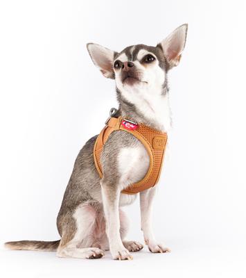Show full view: Curli Apple Leather Dog Harness, Brown, XXX-Small: 10.51 to 11.85-in chest slide 5 of 9