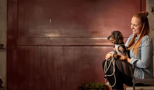 Show full view: Curli Alpine Clasp Vest Dog Harness, Light Gray, Small: 15.04 to 17.04-in chest slide 8 of 11