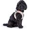Show in main carousel: Curli Alpine Clasp Vest Dog Harness, Light Gray, XXX-Small: 10.51 to 11.85-in chest slide 5 of 12