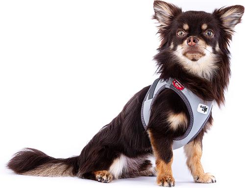 Show full view: Curli Glow Clasp Reflective Vest Dog Harness, Reflective Gray, Medium: 17.05 to 19.29-in chest slide 5 of 11