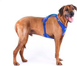 Curli Belka Air-Mesh Dog Harness, Red, X-Large: 21.82 to 24.68-in chest slide 2 of 9