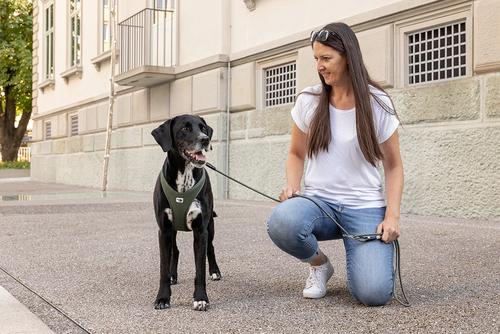 Show full view: Curli Belka Air-Mesh Dog Harness, Black, XX-Large: 24.69 to 27.6-in chest slide 3 of 11