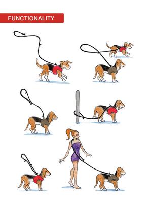 Show full view: Curli Apple Leather Adjustable Dog Leash, Black, Small: 5-ft long, 5/8-in wide slide 3 of 7