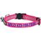 Show in main carousel: Pawtitas Traffic Personalized Reflective Breakaway Cat Collar, Pink, X-Small: 8 to 12-in neck, 3/8-in wide slide 1 of 10