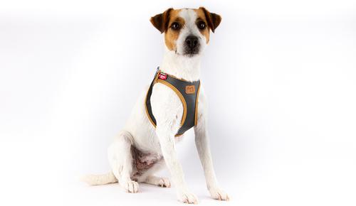 Show full view: Curli Apple Leather Dog Harness, Black, Medium: 17.05 to 19.29-in chest slide 5 of 7