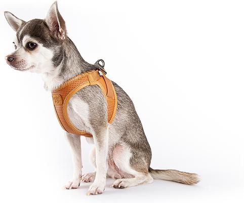 Show full view: Curli Apple Leather Dog Harness, Brown, XX-Small: 11.86 to 13.3-in chest slide 5 of 7