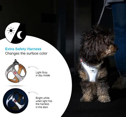 Show full view: Curli Glow Clasp Reflective Vest Dog Harness, Reflective Gray, Medium: 17.05 to 19.29-in chest slide 10 of 11