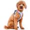 Show in main carousel: Curli Glow Clasp Reflective Vest Dog Harness, Reflective Gray, Medium: 17.05 to 19.29-in chest slide 6 of 11