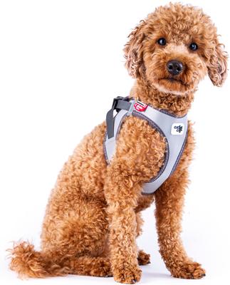 Show full view: Curli Glow Clasp Reflective Vest Dog Harness, Reflective Gray, Medium: 17.05 to 19.29-in chest slide 6 of 11