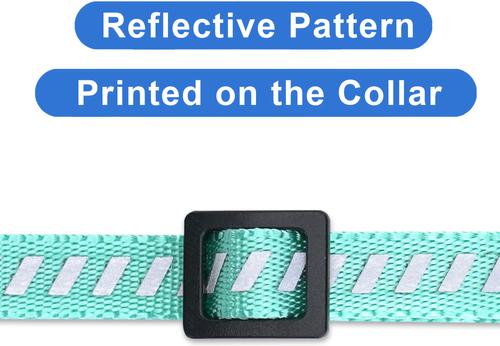 Show full view: Pawtitas Traffic Personalized Reflective Breakaway Cat Collar, Teal, X-Small: 8 to 12-in neck, 3/8-in wide slide 6 of 10
