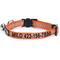 Show in main carousel: Pawtitas Traffic Personalized Reflective Breakaway Cat Collar, Orange, X-Small: 8 to 12-in neck, 3/8-in wide slide 1 of 10