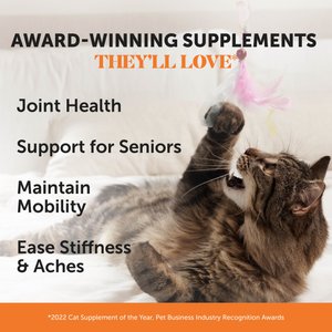 Pet Honesty Hip & Joint Chicken Flavored Chews Joint Supplement for Joint Pain & Arthritis Relief for Adult & Senior Cats, 3.7-oz Bag