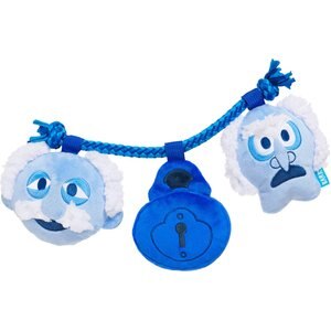BARK Marley & Gnarleys Chain Squeaky Dog Chew Toy, Small