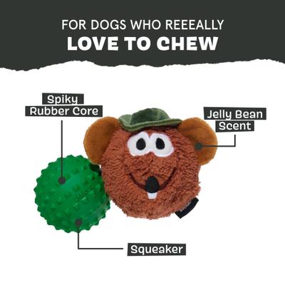 Show full view: BARK Rat N Roll Rizzo Squeaky Dog Chew Toy, Medium slide 4 of 6
