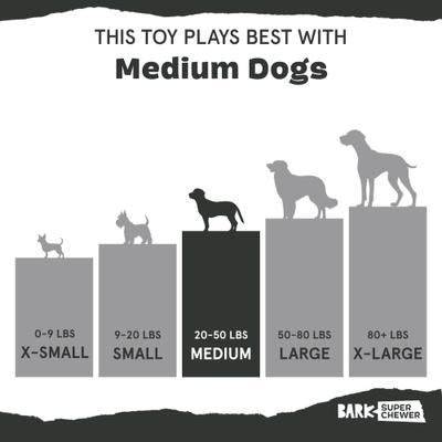 Show full view: BARK Fozziwig Factory Prop Chicken Tough Dog Chew Toy, Medium slide 5 of 7