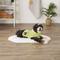 Show in main carousel: Bone Dry Embroidered Paw Microfiber Dog Robe, Lettuce Green, Small slide 5 of 7