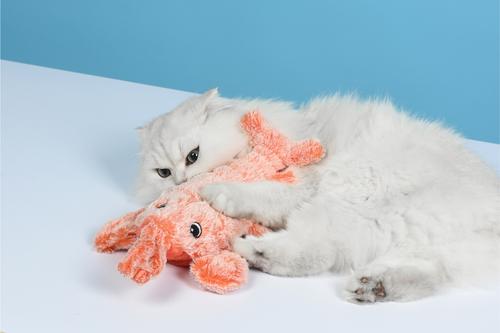 Show full view: EYS Jumping Lobster Flop & Jump Interactive Plush Cat Toy with Catnip slide 7 of 10