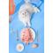 Show in main carousel: EYS Jumping Lobster Flop & Jump Interactive Plush Cat Toy with Catnip slide 4 of 10