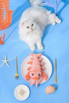 Show full view: EYS Jumping Lobster Flop & Jump Interactive Plush Cat Toy with Catnip slide 4 of 10