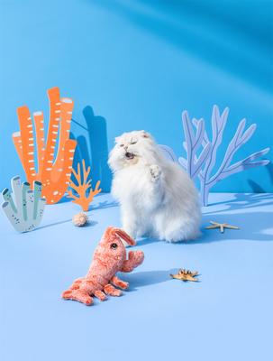 Show full view: EYS Jumping Lobster Flop & Jump Interactive Plush Cat Toy with Catnip slide 3 of 10