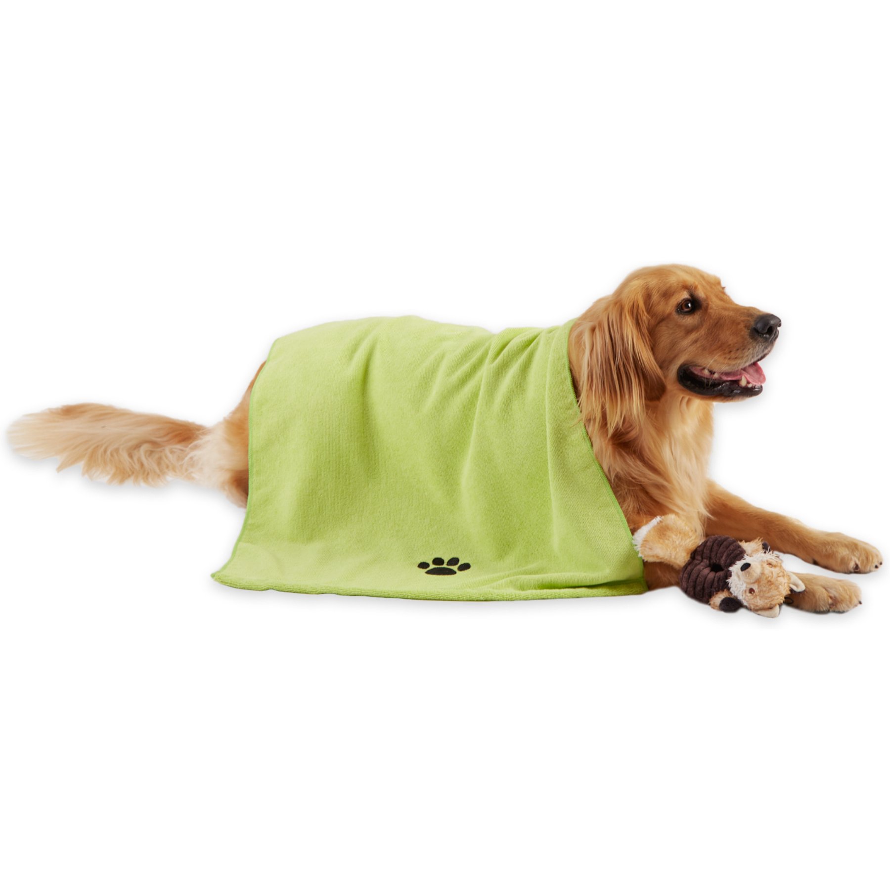 Bone Dry Embroidered Paw Microfiber Dog Towel, Large, Lettuce Green