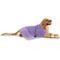 Show in main carousel: Bone Dry Embroidered Paw Microfiber Dog Towel, Large, Lavender slide 1 of 6