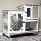 Show in main carousel: Aivituvin Premium 2-Story Wooden Rabbit Hutch, Brown, 39-in slide 2 of 7