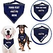 Show in main carousel: Pets First NFL Seattle Seahawks Personalized Dog Bandana, Small/Medium slide 3 of 5