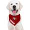 Show in main carousel: Pets First NFL San Francisco 49Ers Personalized Dog Bandana, Large/X-Large slide 6 of 6