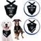 Show in main carousel: Pets First NFL Oakland Raiders Personalized Dog Bandana, Small/Medium slide 4 of 6