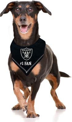 Show full view: Pets First NFL Oakland Raiders Personalized Dog Bandana, Small/Medium slide 5 of 6