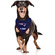 Show in main carousel: Pets First NFL New England Patriots Personalized Dog Bandana, Large/X-Large slide 4 of 6
