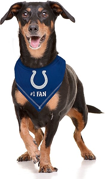 Show full view: Pets First NFL Indianapolis Colts Personalized Dog Bandana, Small/Medium slide 4 of 5