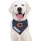 Show in main carousel: Pets First NFL Chicago Bears Personalized Dog Bandana, Large/X-Large slide 5 of 5