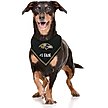 Show in main carousel: Pets First NFL Baltimore Ravens Personalized Dog Bandana, Small/Medium slide 4 of 5