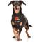 Show in main carousel: Pets First NFL Cleveland Browns Personalized Dog Bandana, Large/X-Large slide 4 of 5