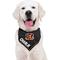 Show in main carousel: Pets First NFL Cincinnati Bengals Personalized Dog Bandana, Small/Medium slide 5 of 5