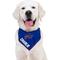 Show in main carousel: Pets First NFL Buffalo Bills Personalized Dog Bandana, Large/X-Large slide 5 of 5