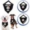 Show in main carousel: Pets First NFL Pittsburgh Steelers Personalized Dog Bandana, Large/X-Large slide 3 of 5