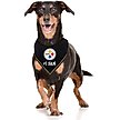 Show in main carousel: Pets First NFL Pittsburgh Steelers Personalized Dog Bandana, Large/X-Large slide 4 of 5