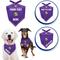 Show in main carousel: Pets First NFL Minnesota Vikings Personalized Dog Bandana, Large/X-Large slide 3 of 5