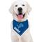 Show in main carousel: Pets First NFL Detroit Lions Personalized Dog Bandana, Large/X-Large slide 6 of 6