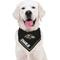 Show in main carousel: Pets First NFL Baltimore Ravens Personalized Dog Bandana, Large/X-Large slide 5 of 5