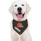 Show in main carousel: Pets First NFL Cleveland Browns Personalized Dog Bandana, Large/X-Large slide 5 of 5